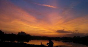 Orange Hues in Hyderabad - Shades of Nature
