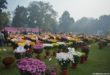 Splendid Flower Show in Lucknow
