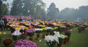 Splendid Flower Show in Lucknow