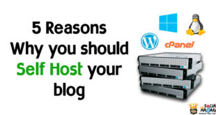 Why You Should Self Host your Blog.