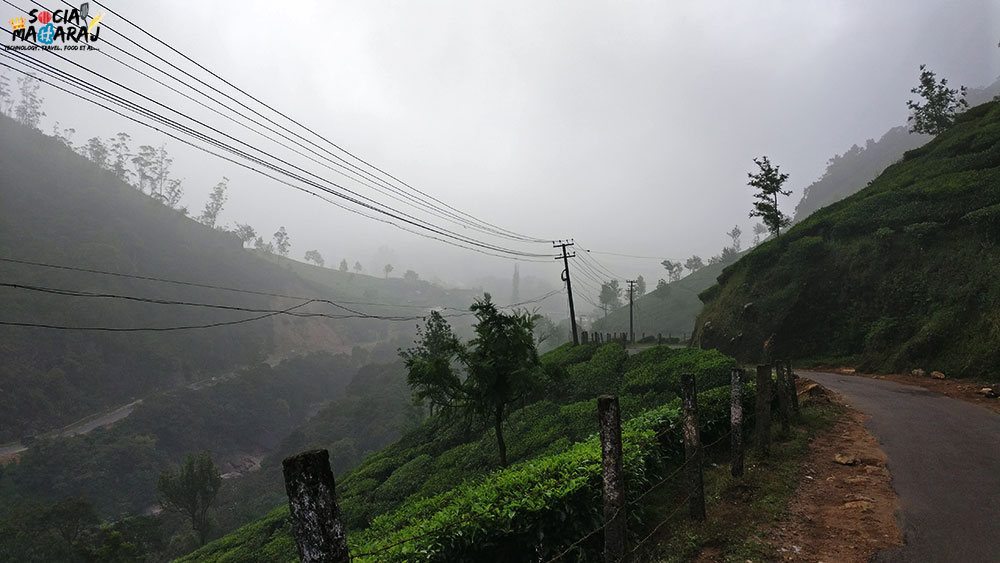 Amazing weather and tea gardens of Munnar