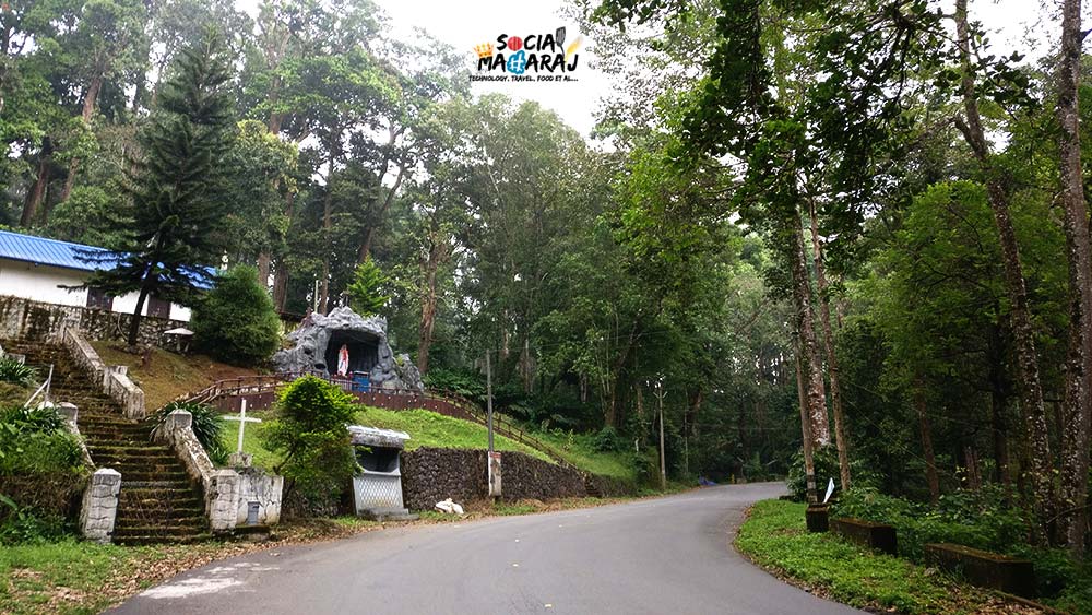 The wilderness of Munnar and the joy of Driving