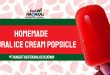 Homemade Natural Ice Cream Popsicle