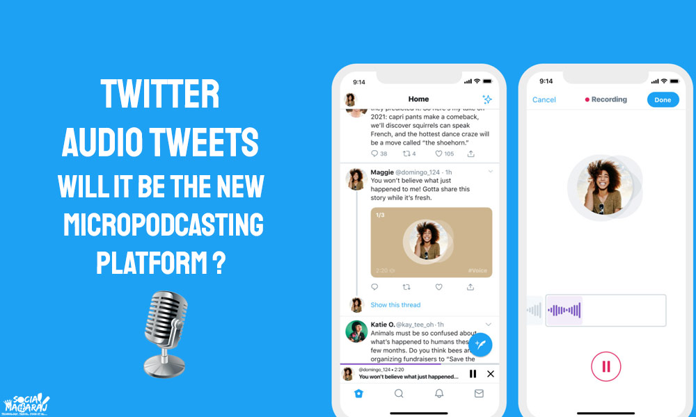 Twitter Audio Tweets - the new Micropodcasting platform ?