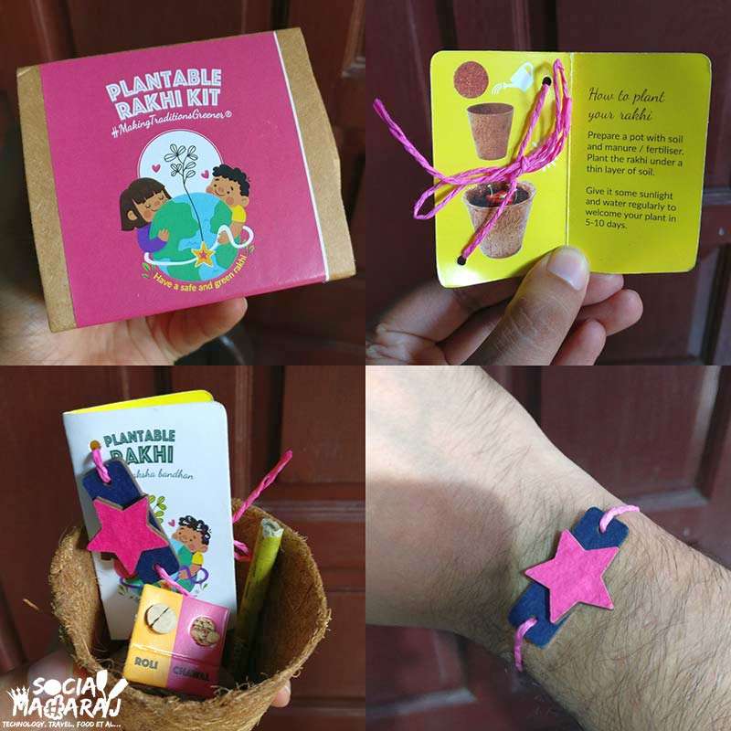 Contents of the Plantable Rakhi Kit