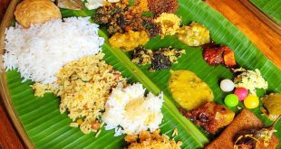 Delicious Andhra Meals at Feast House