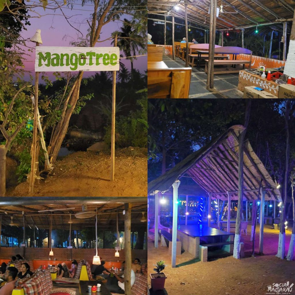 Chill Vibes at Mango Tree Hampi