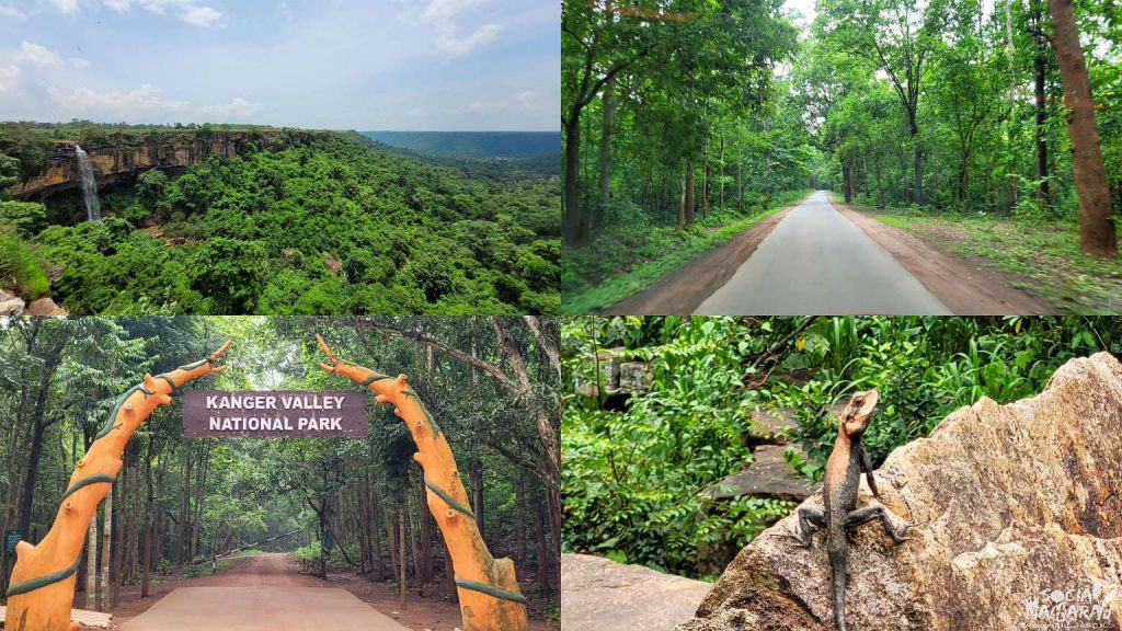 Greenery in Bastar and Kanger Valley National Park