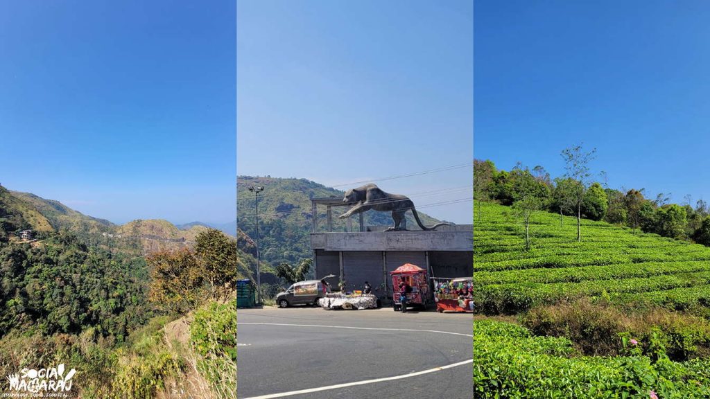 Viewpoints and tea estate in Vagamon