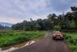Hyderabad to Coorg road trip in Tata Punch - Monsoon Road Trip from Hyderabad