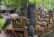 Tamara Coorg
