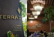 Ambience at Terrai Hyderabad
