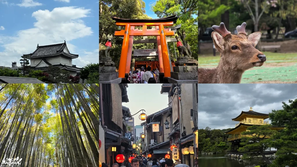 Maharaj in Kyoto