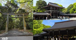 Meiji Jingu Shrine in Tokyo