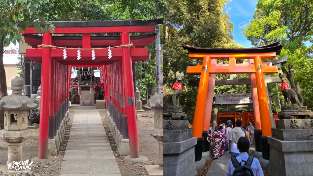 Torri Gates in Shinto Shrines in Japan